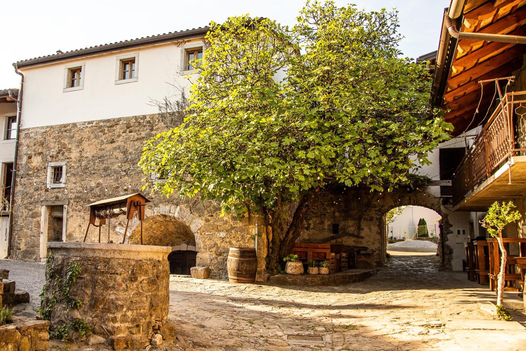 Boutique Rooms & Winery Zorz Vipava Eksteriør billede