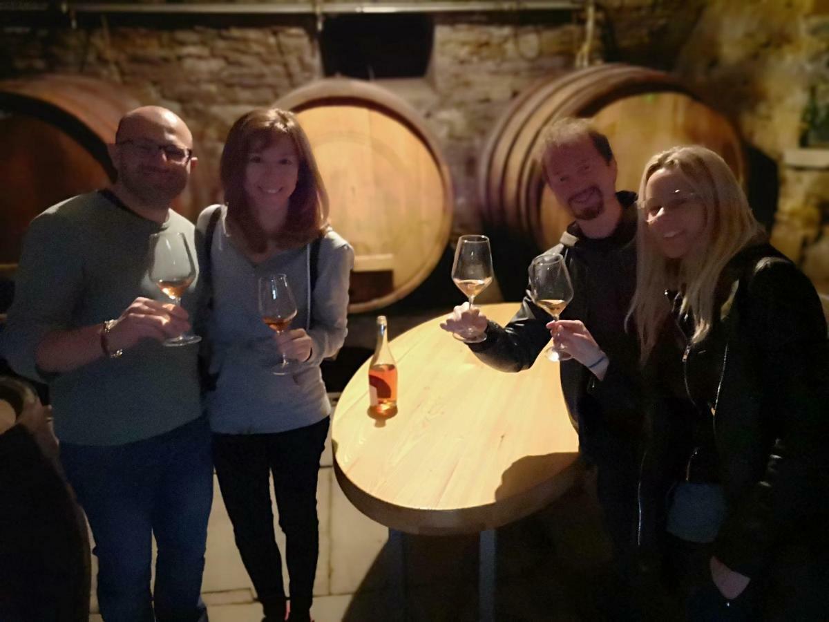 Boutique Rooms & Winery Zorz Vipava Eksteriør billede